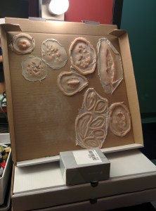 Here are the custom prosthetics. We didn't end up using all of them. 3 guesses as to which one got the most comments when people saw them.